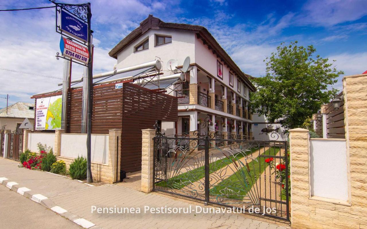 Pensiunea Pestisorul Dunavăţu de Jos Екстериор снимка