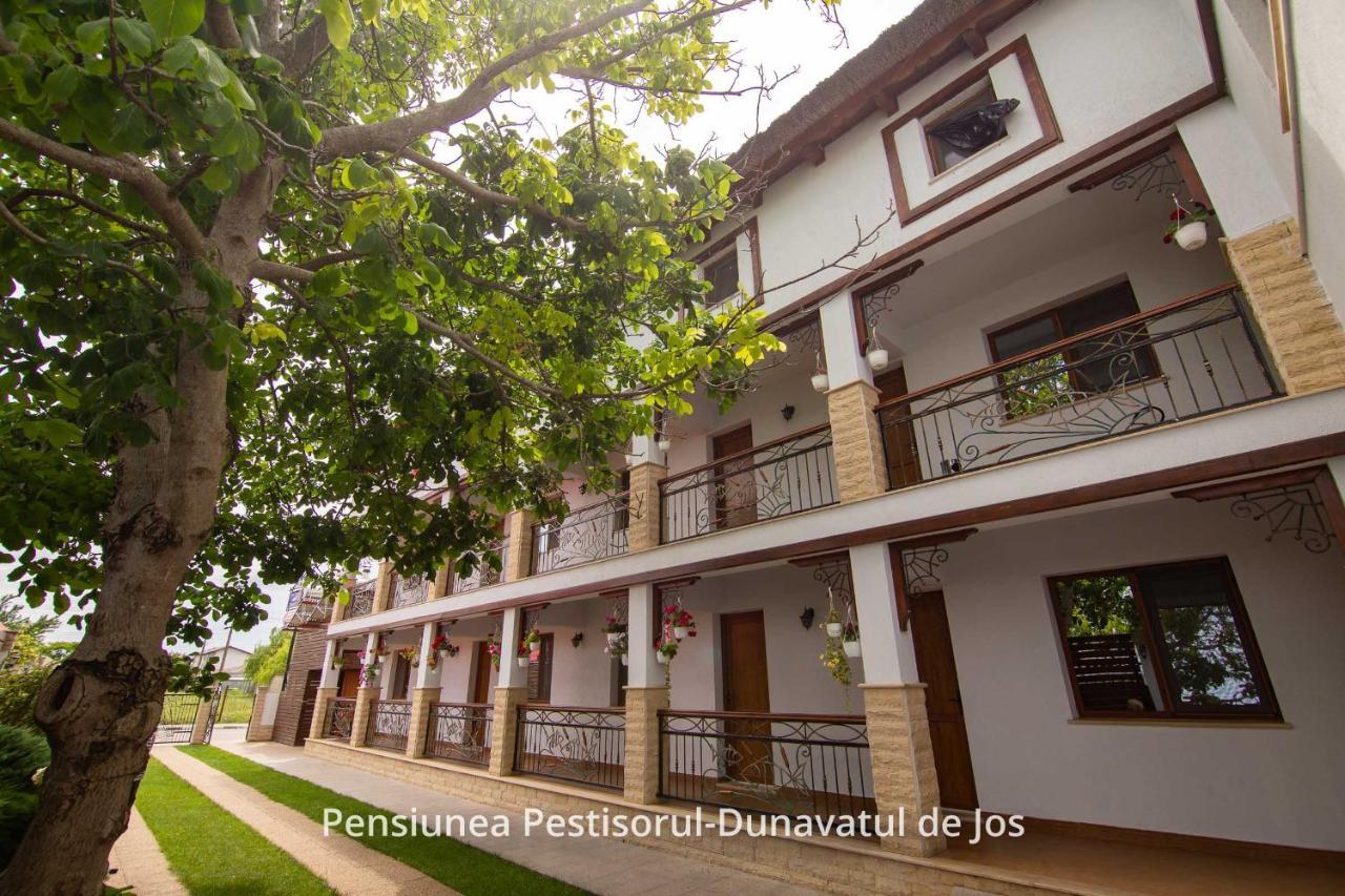 Pensiunea Pestisorul Dunavăţu de Jos Екстериор снимка