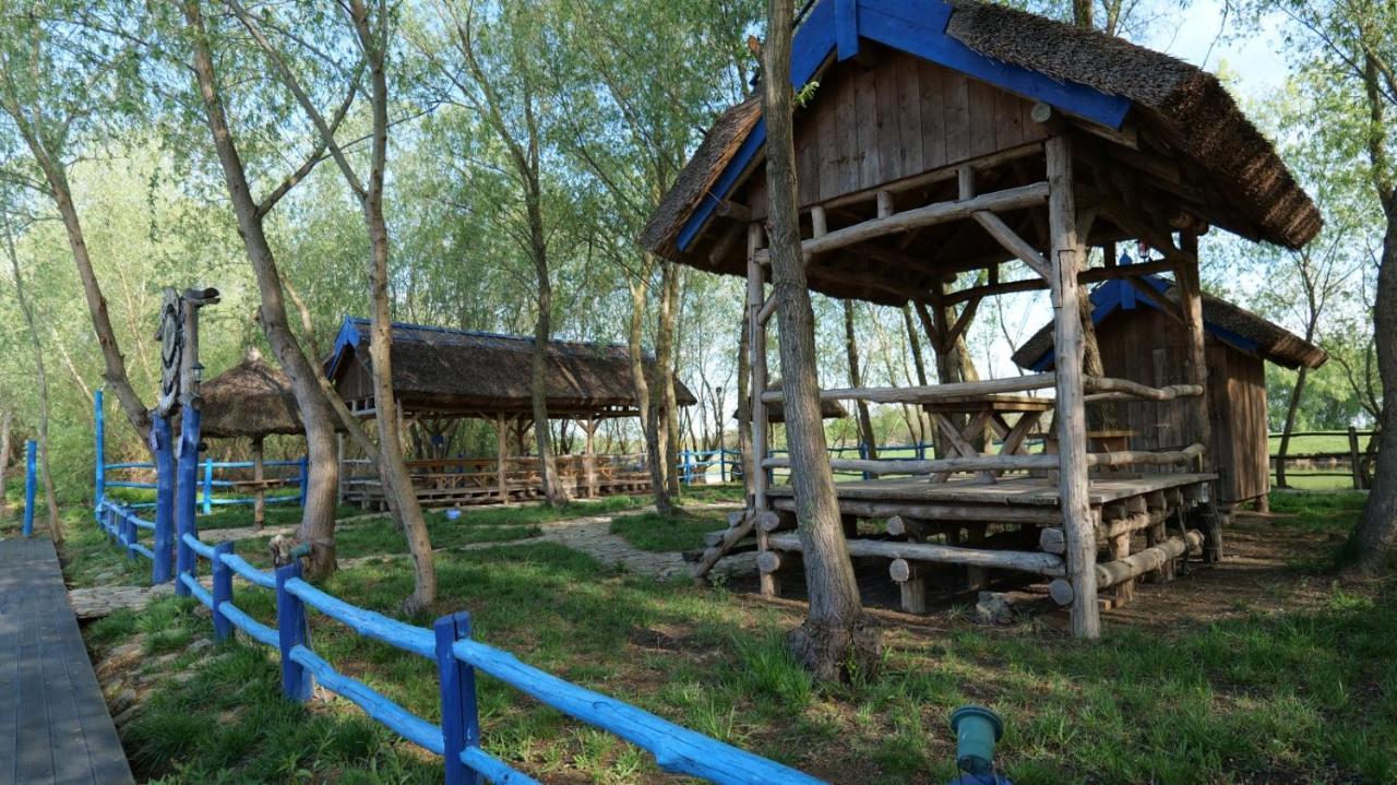 Pensiunea Pestisorul Dunavăţu de Jos Екстериор снимка